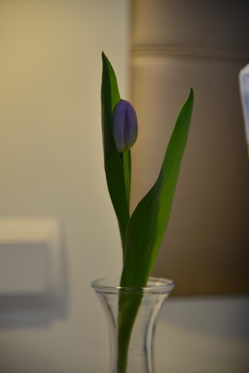 Hotel Business Wieland 4*